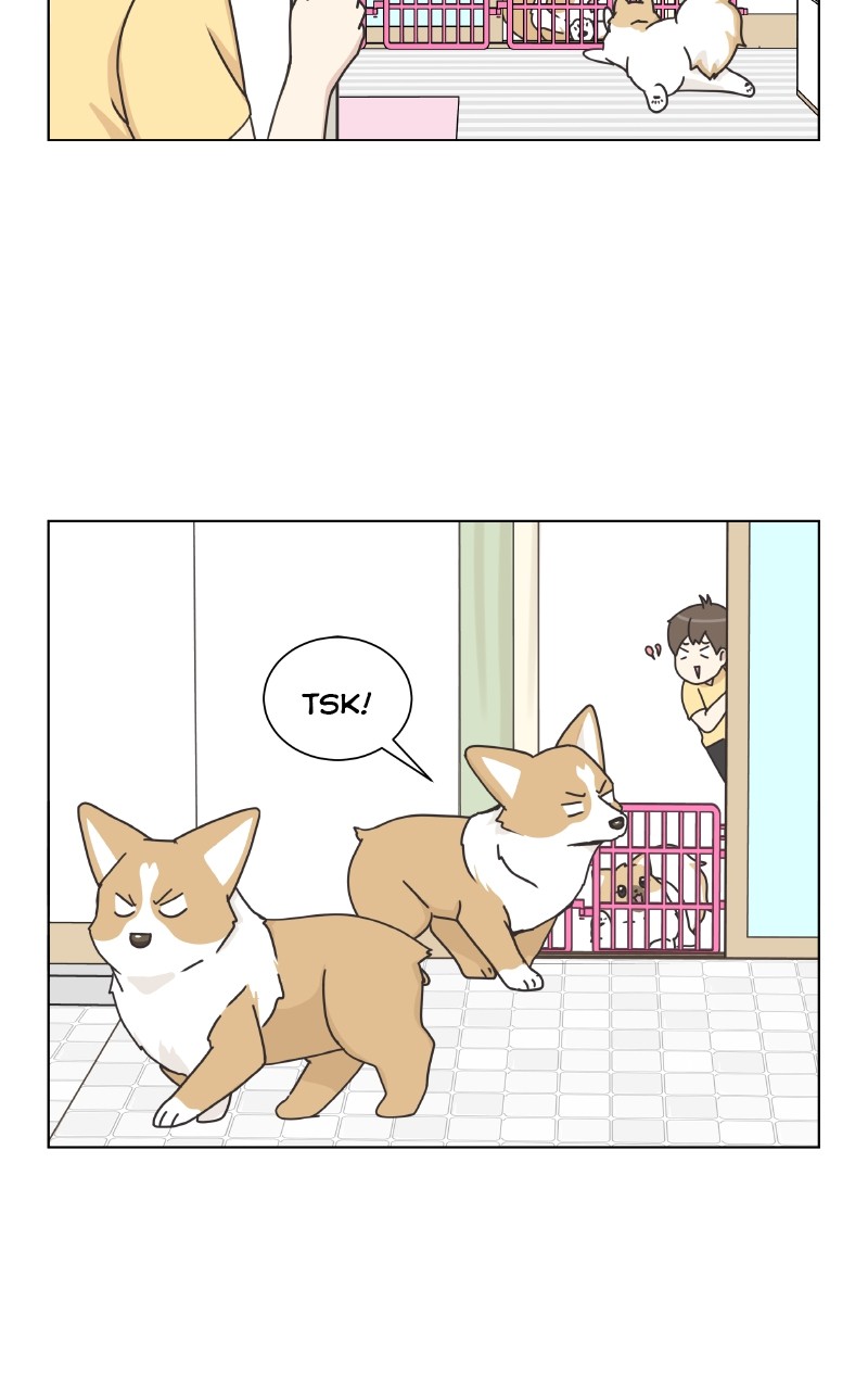 The Dog Diaries Chapter 88 #3