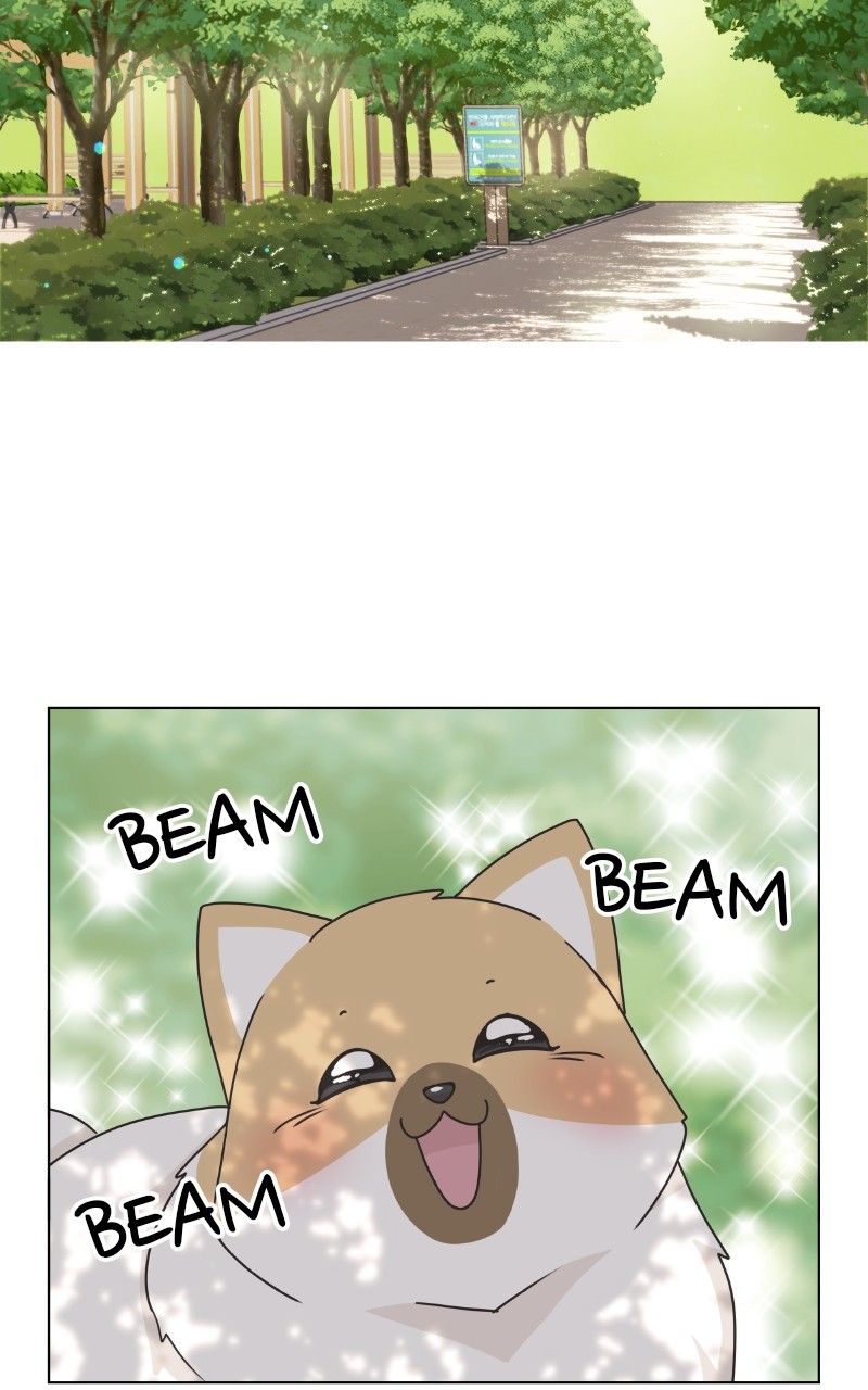 The Dog Diaries Chapter 88 #9