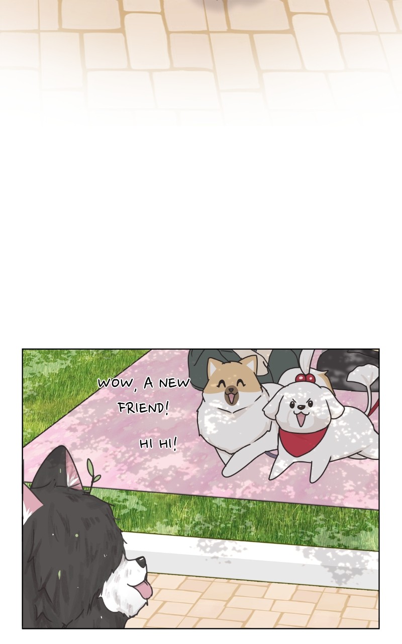 The Dog Diaries Chapter 88 #27