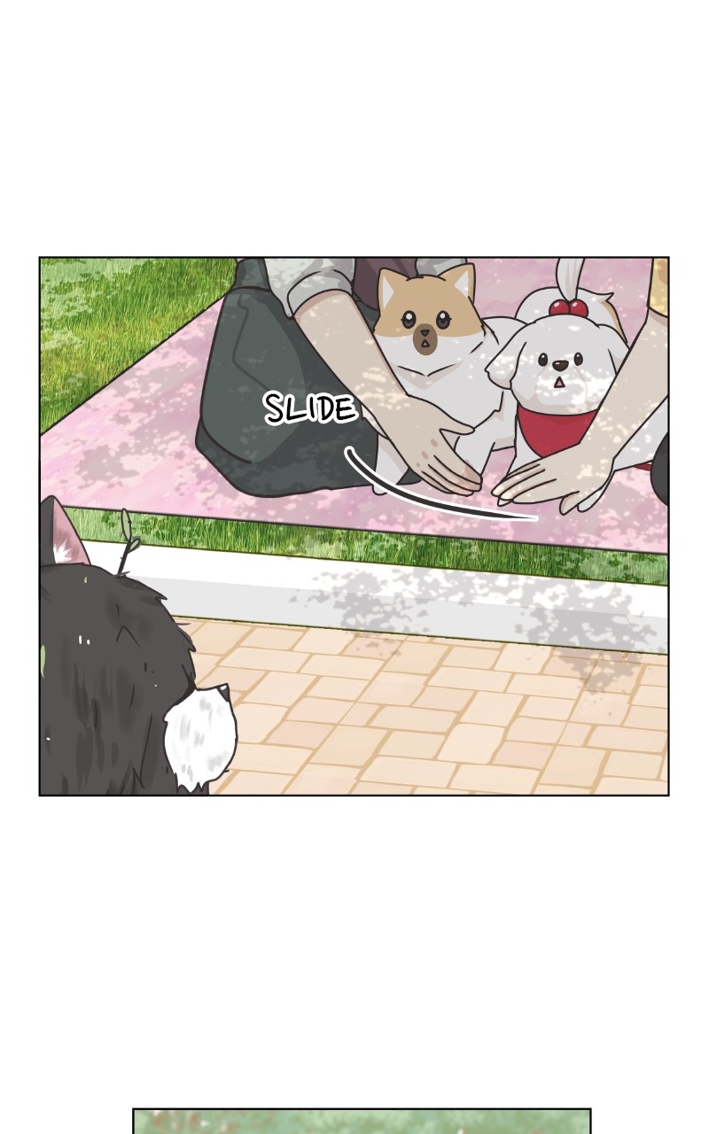 The Dog Diaries Chapter 88 #28