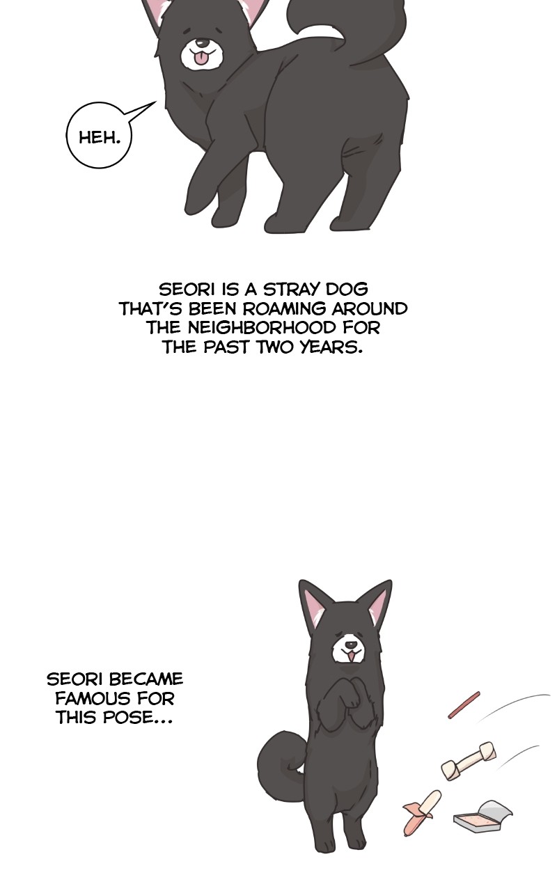 The Dog Diaries Chapter 88 #37