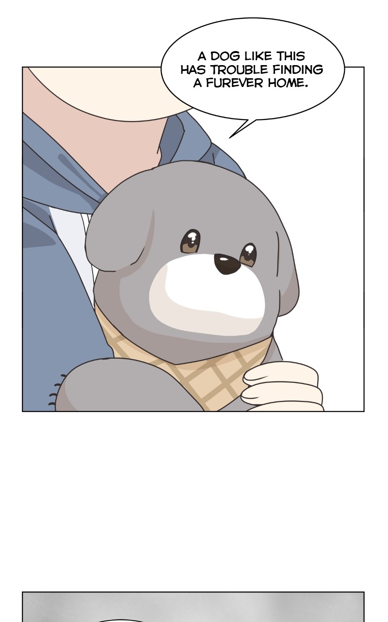 The Dog Diaries Chapter 88 #43