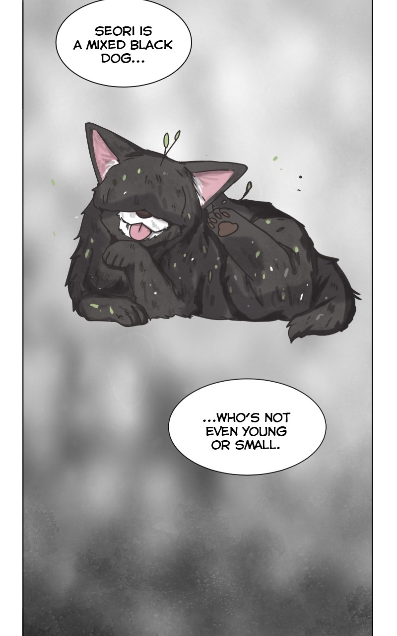 The Dog Diaries Chapter 88 #44