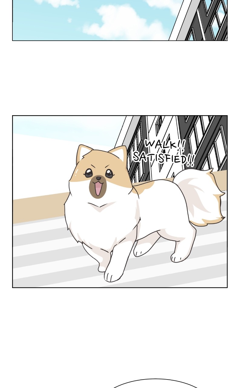 The Dog Diaries Chapter 88 #57
