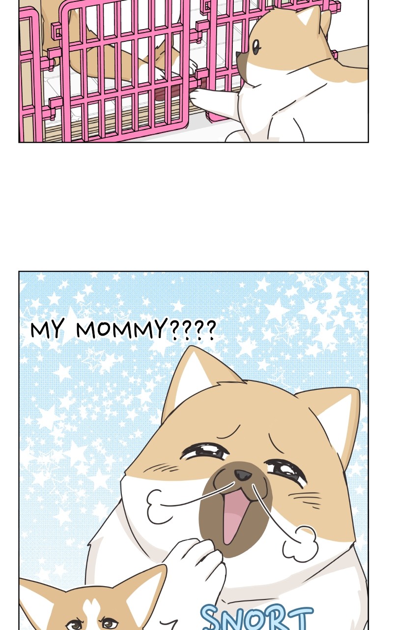 The Dog Diaries Chapter 88 #64