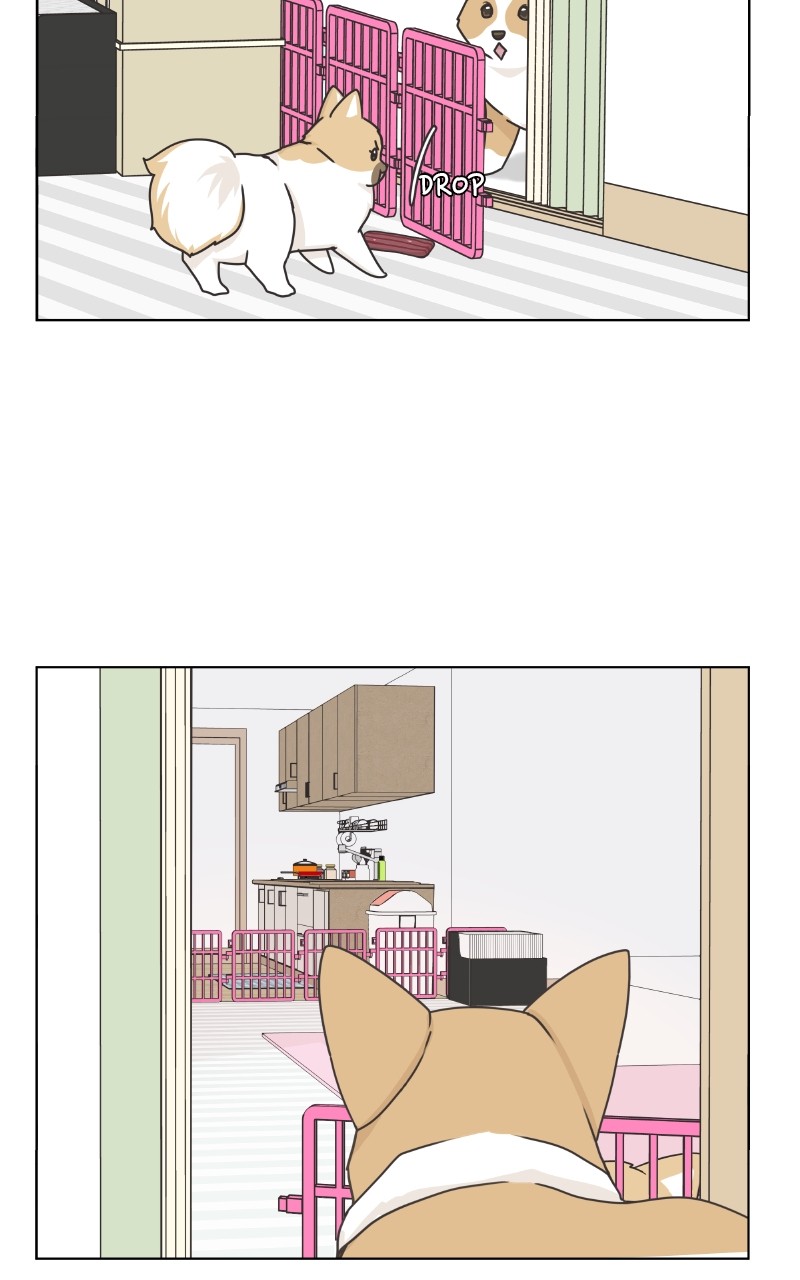 The Dog Diaries Chapter 88 #67