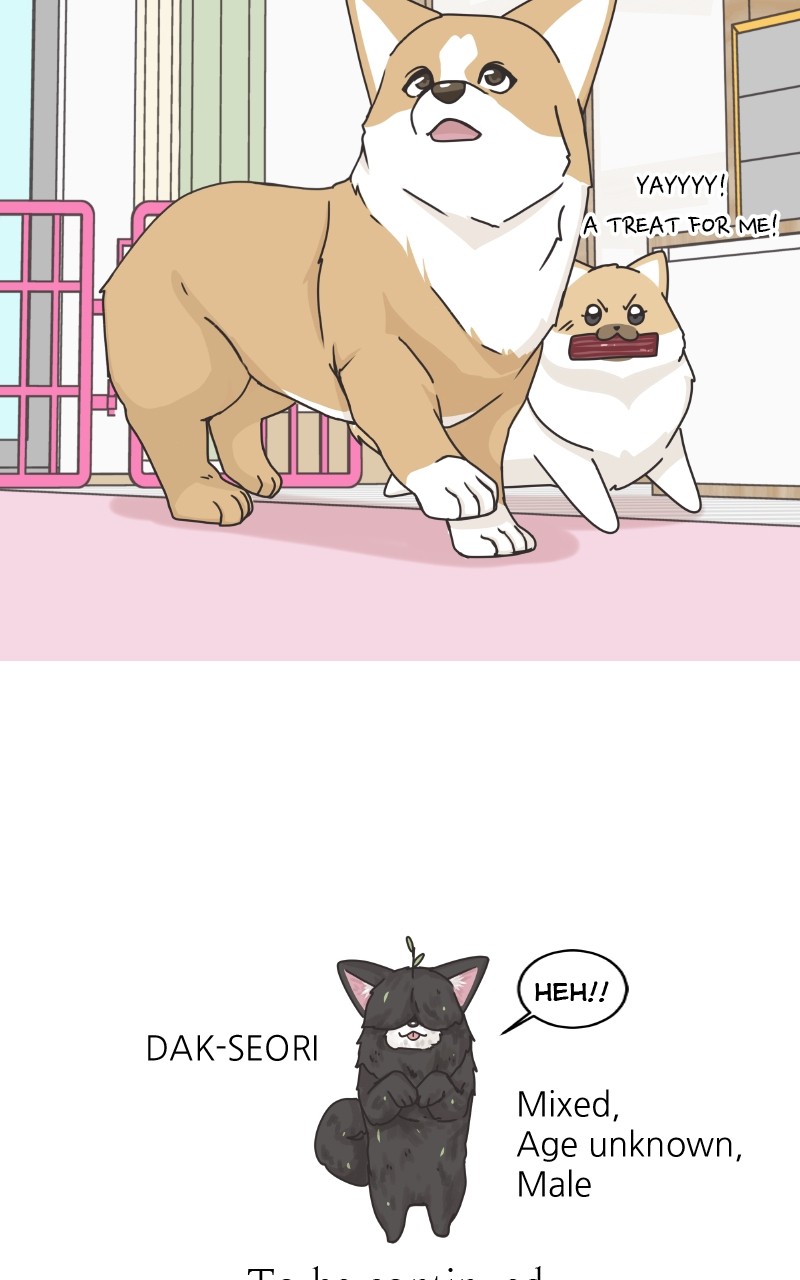 The Dog Diaries Chapter 88 #70