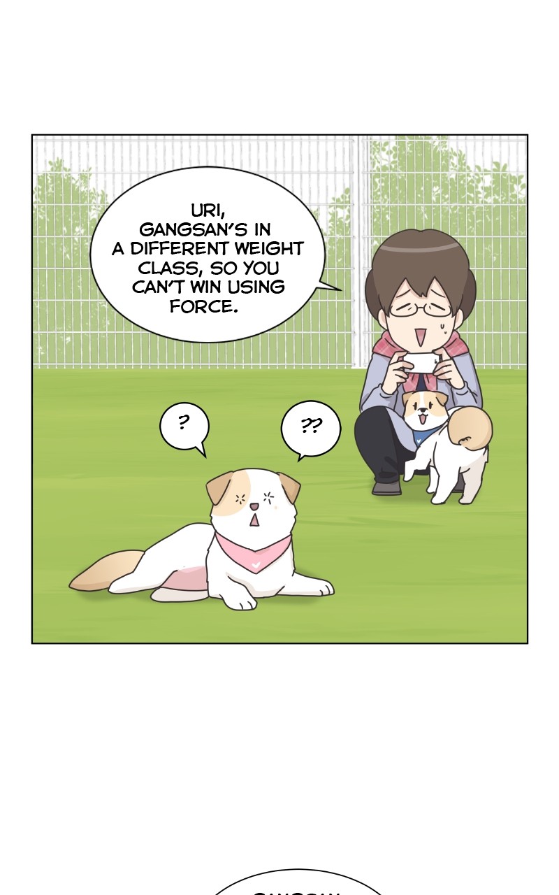 The Dog Diaries Chapter 86 #4