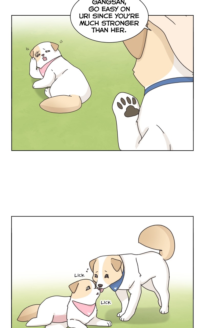 The Dog Diaries Chapter 86 #5