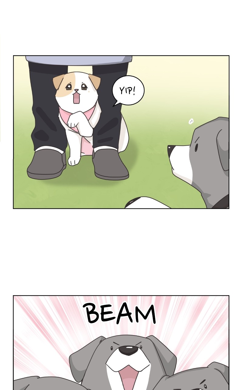 The Dog Diaries Chapter 86 #16