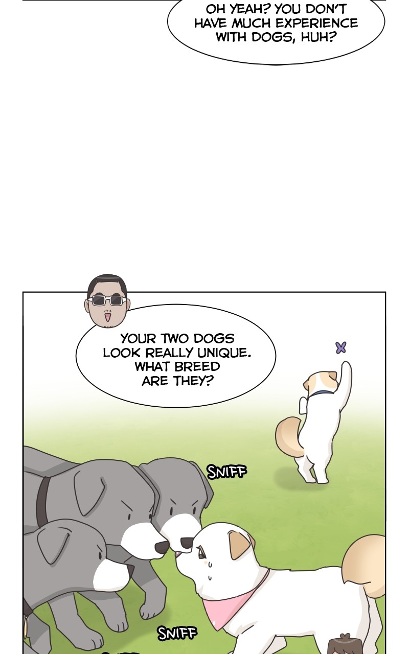 The Dog Diaries Chapter 86 #21