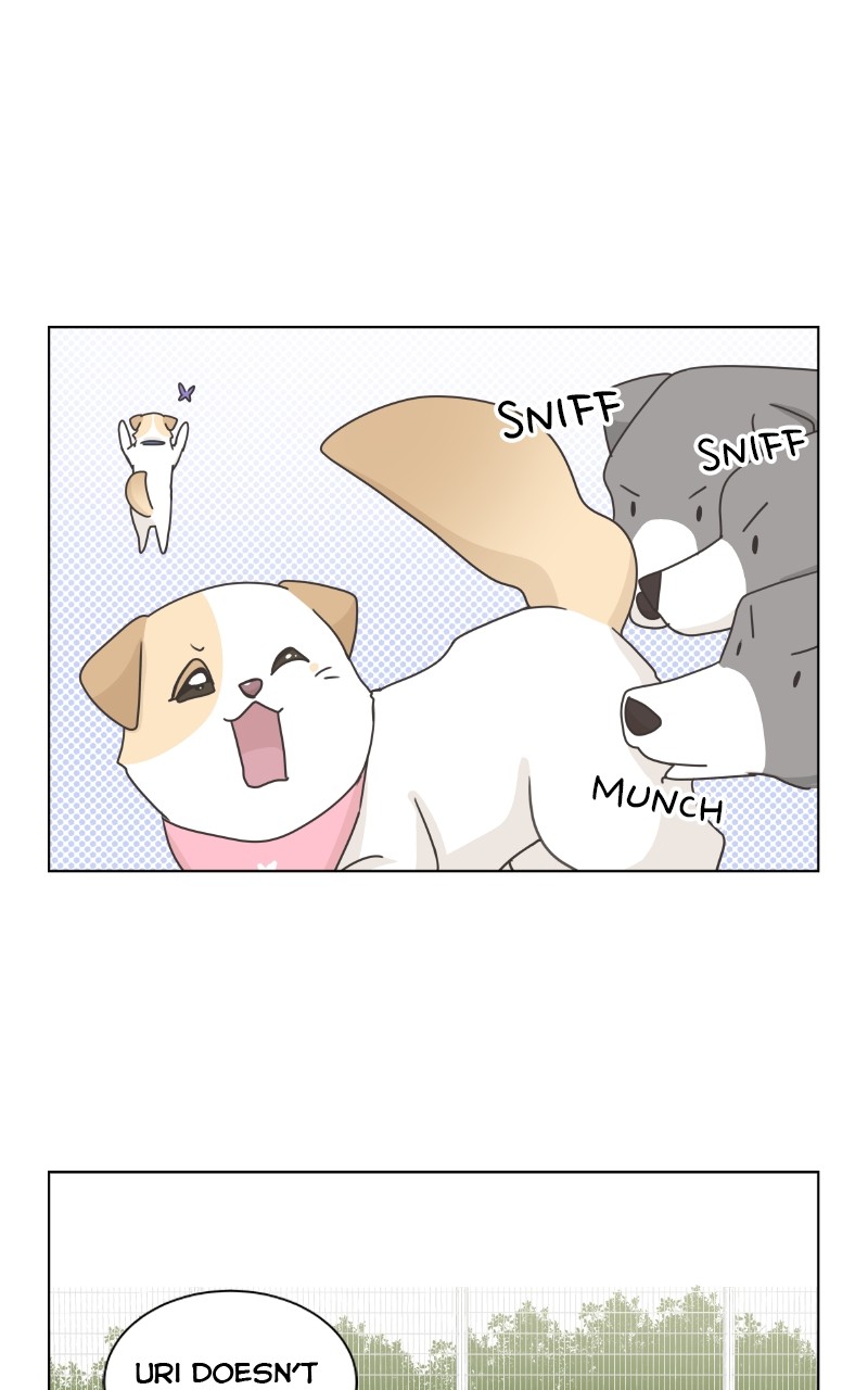 The Dog Diaries Chapter 86 #32