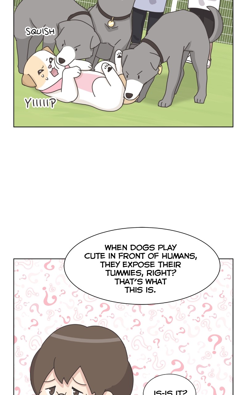 The Dog Diaries Chapter 86 #35