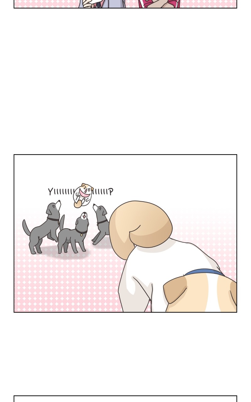 The Dog Diaries Chapter 86 #39
