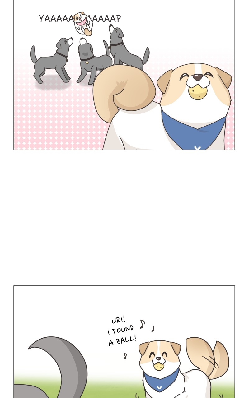 The Dog Diaries Chapter 86 #40
