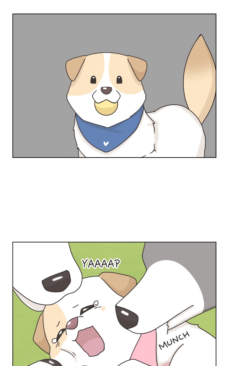 The Dog Diaries Chapter 86 #42