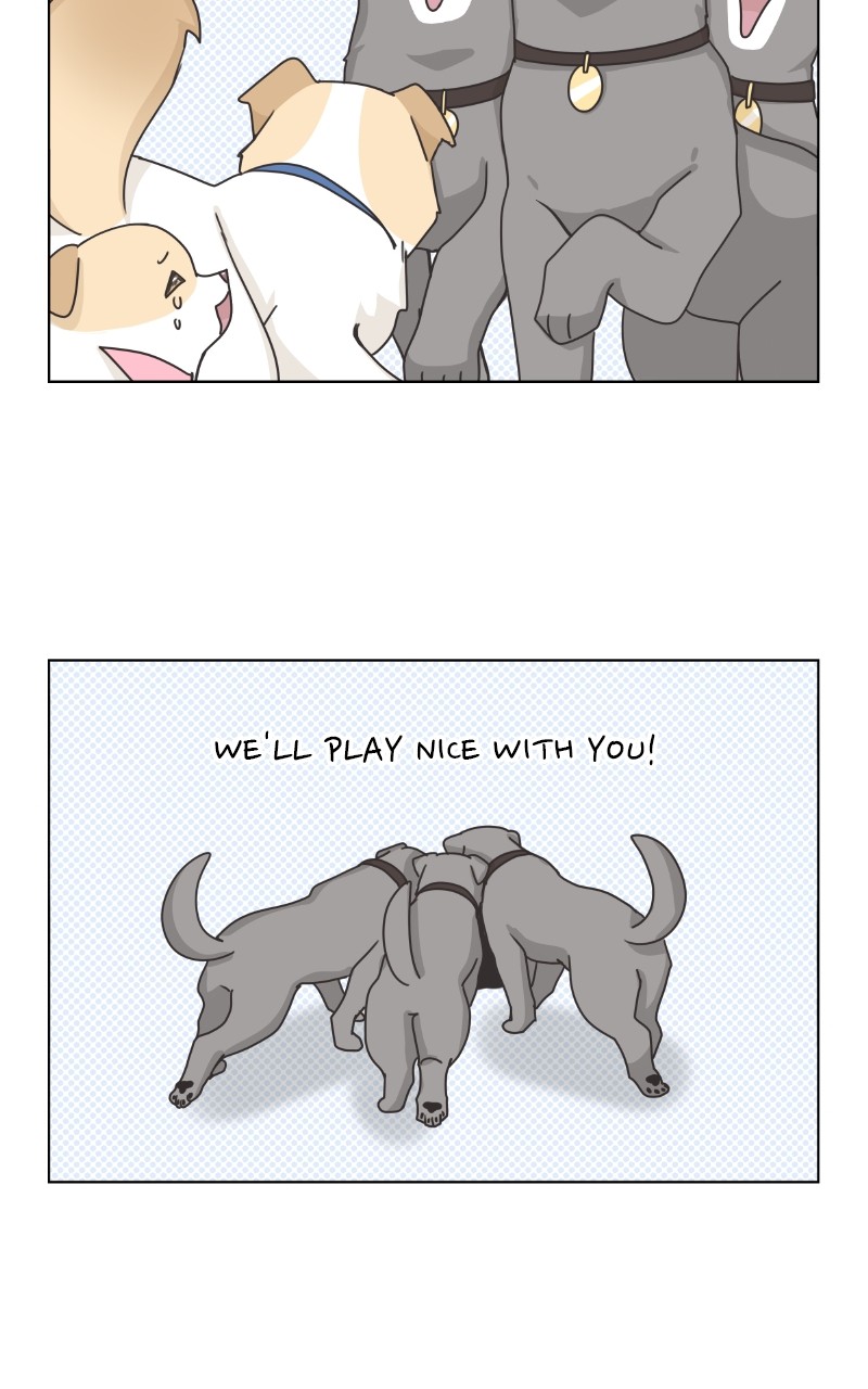 The Dog Diaries Chapter 86 #47