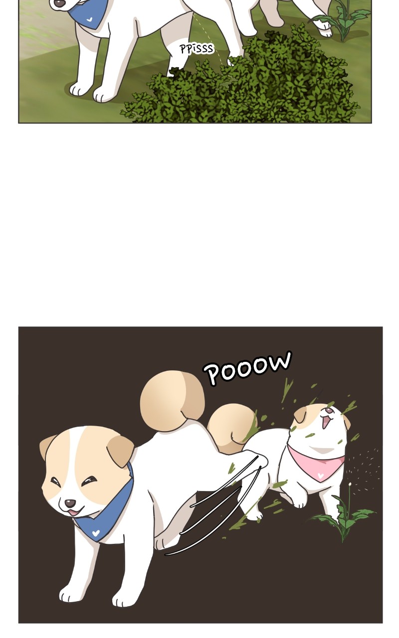 The Dog Diaries Chapter 85 #8