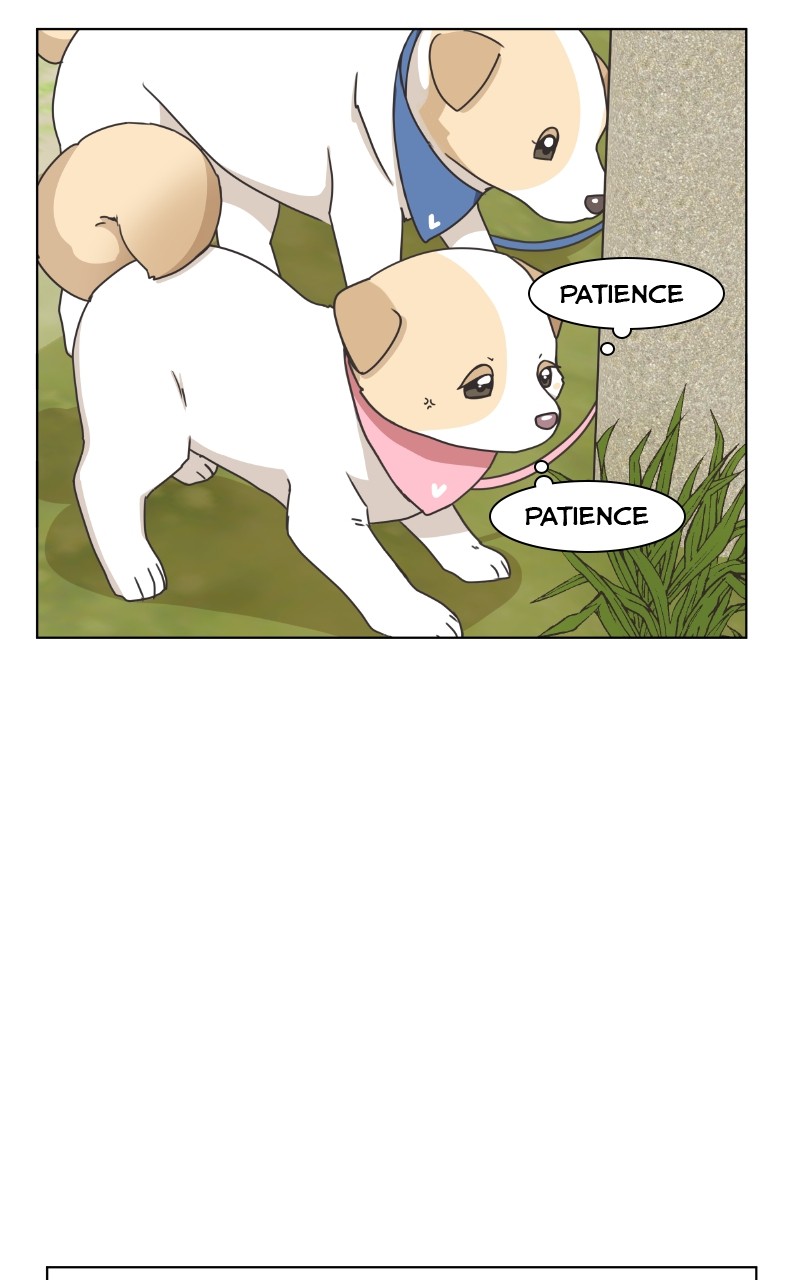 The Dog Diaries Chapter 85 #10