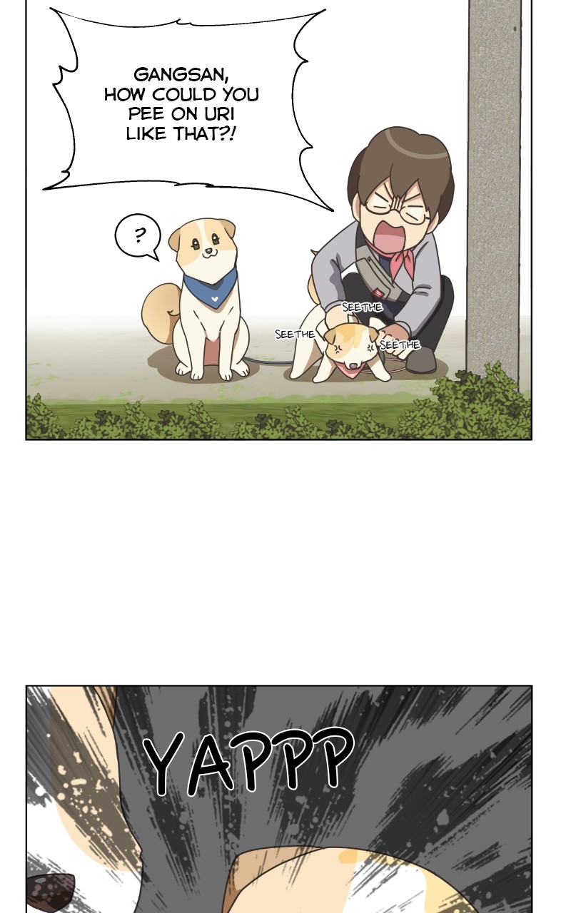 The Dog Diaries Chapter 85 #13
