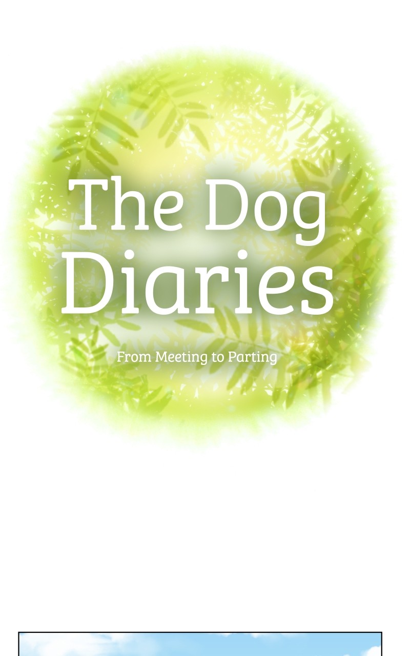 The Dog Diaries Chapter 85 #17
