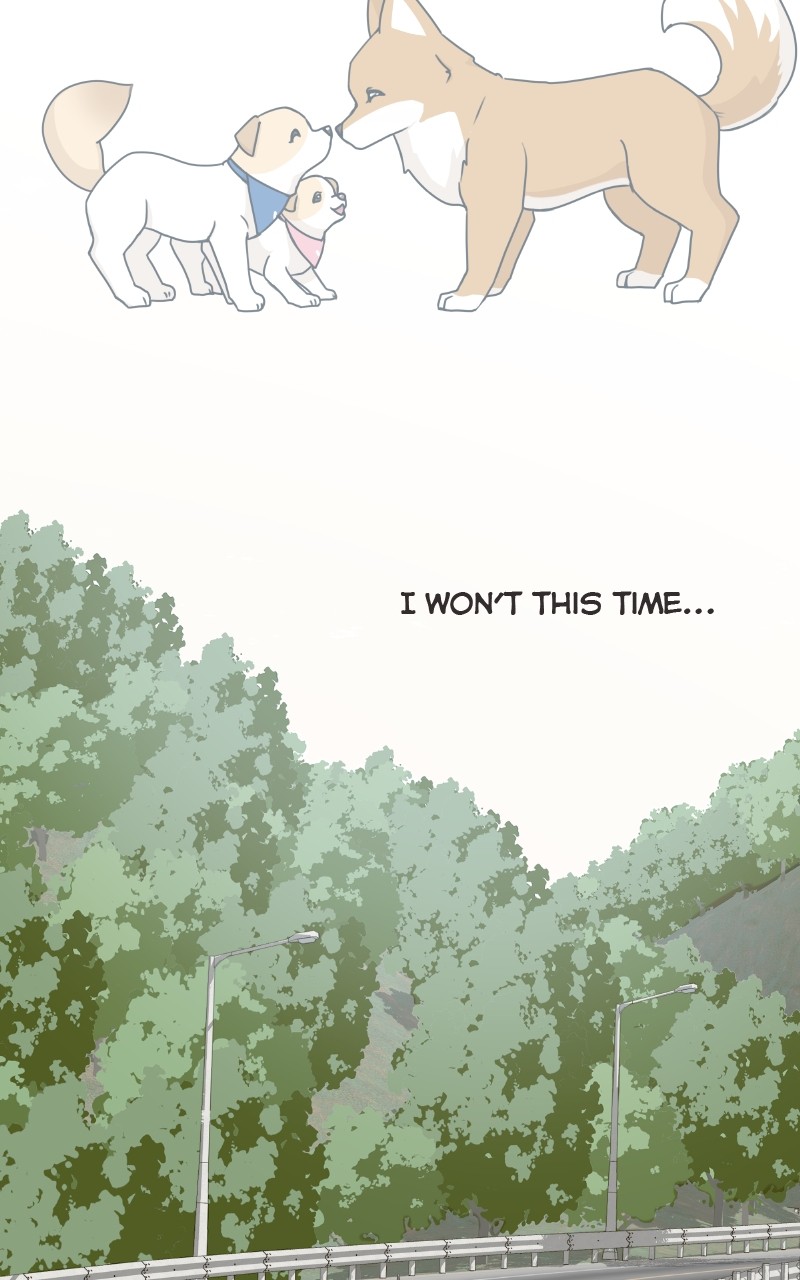 The Dog Diaries Chapter 85 #32