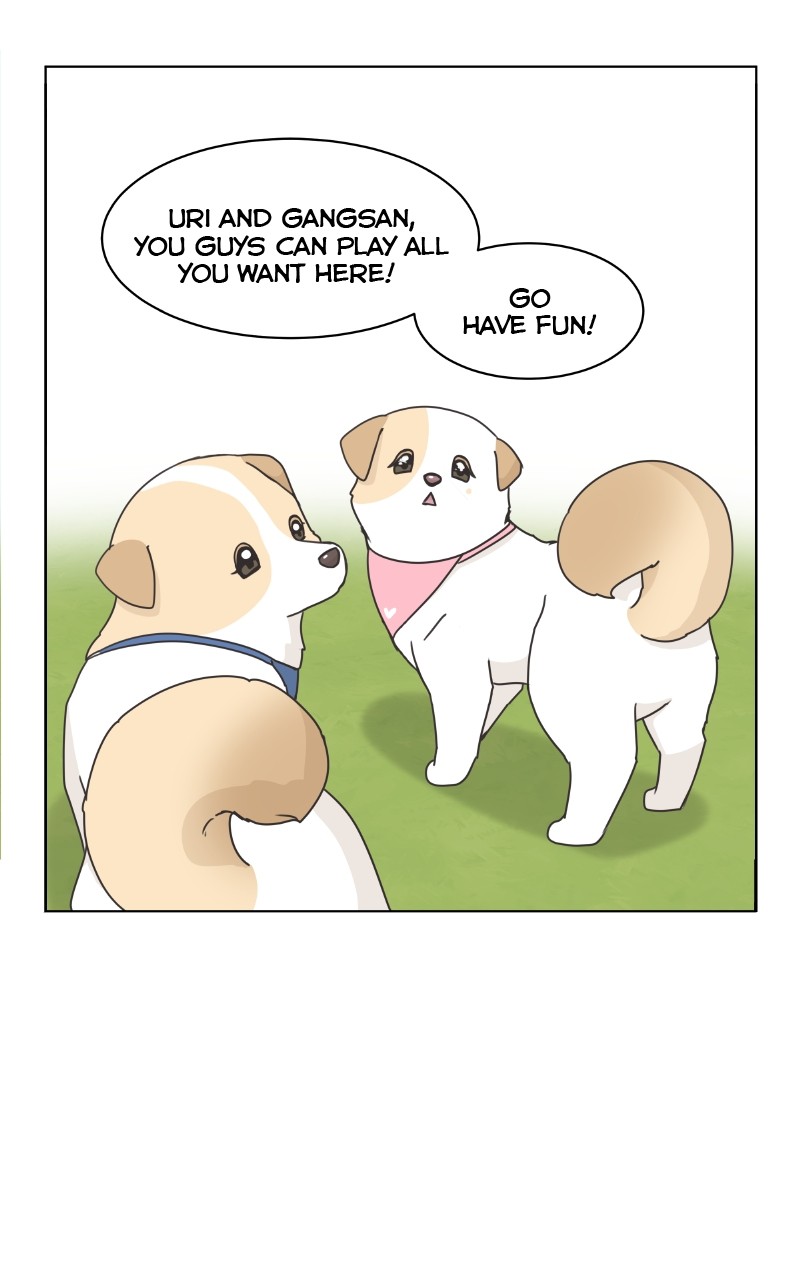 The Dog Diaries Chapter 85 #67