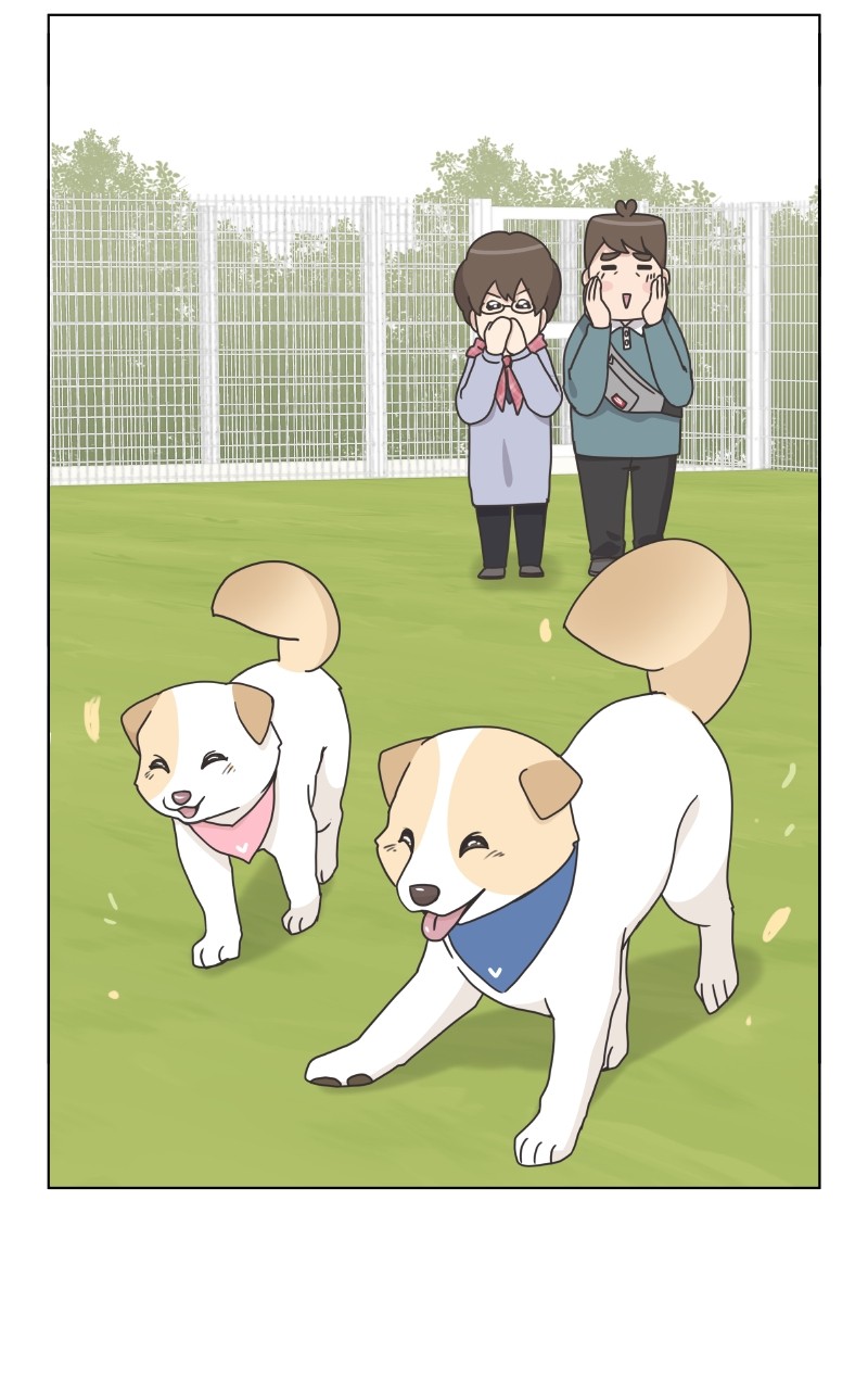 The Dog Diaries Chapter 85 #68
