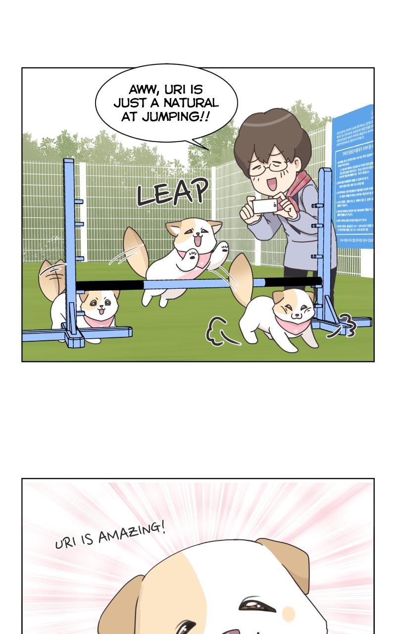The Dog Diaries Chapter 85 #70