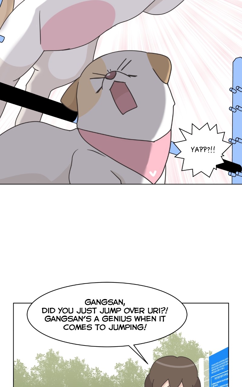 The Dog Diaries Chapter 85 #72