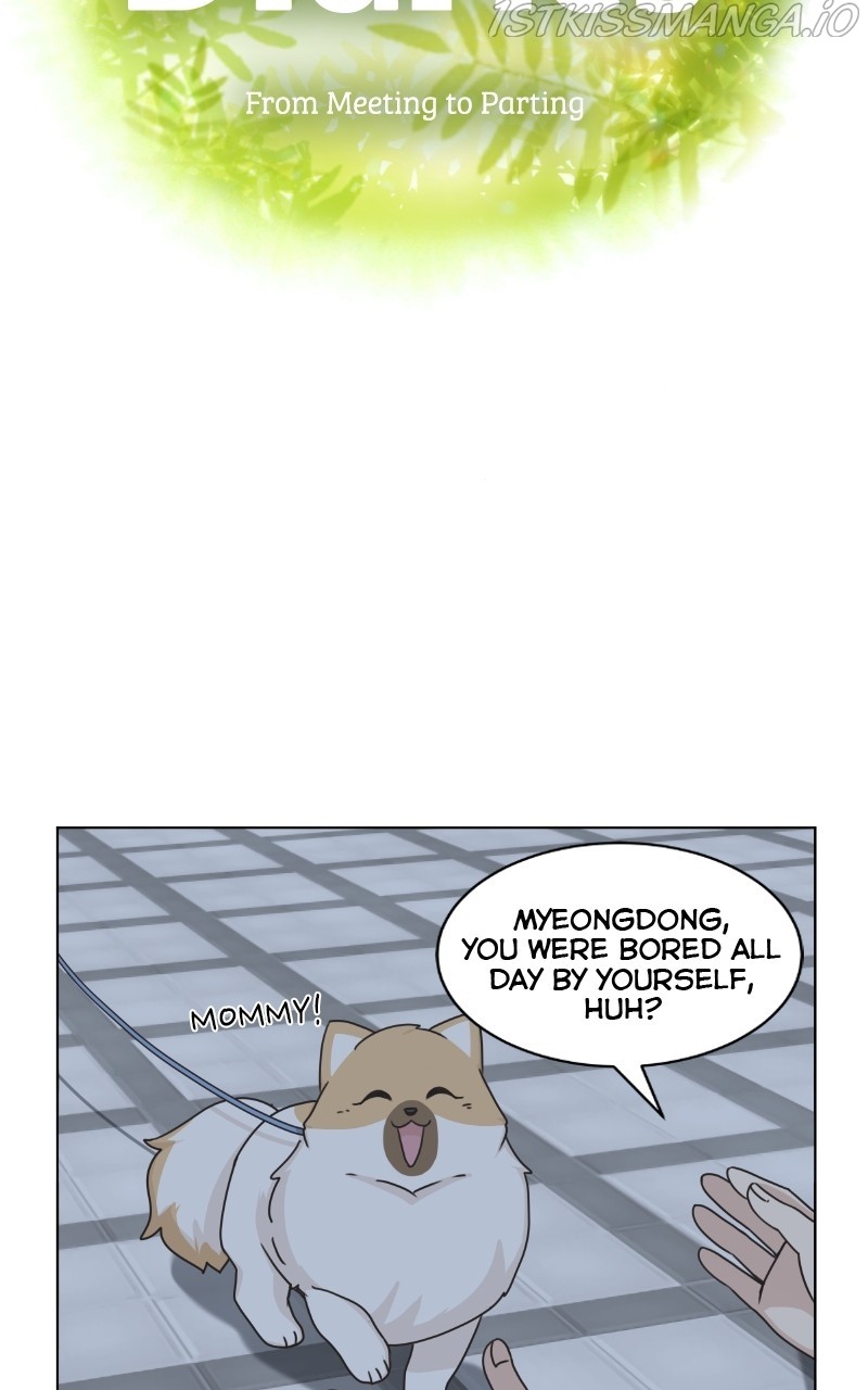 The Dog Diaries Chapter 81 #10