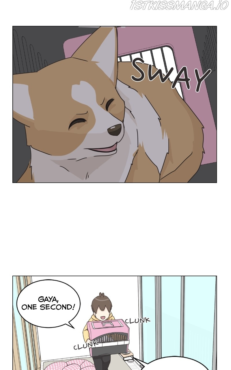 The Dog Diaries Chapter 83 #37