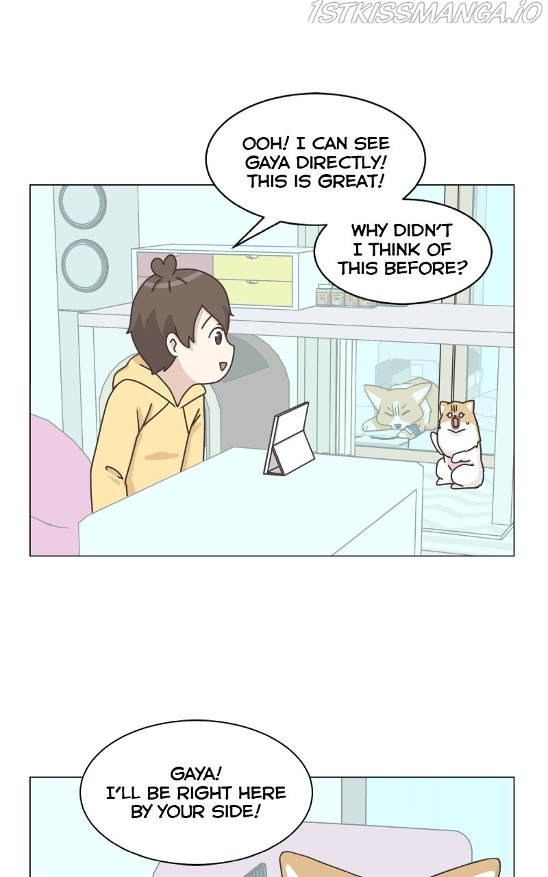 The Dog Diaries Chapter 83 #39