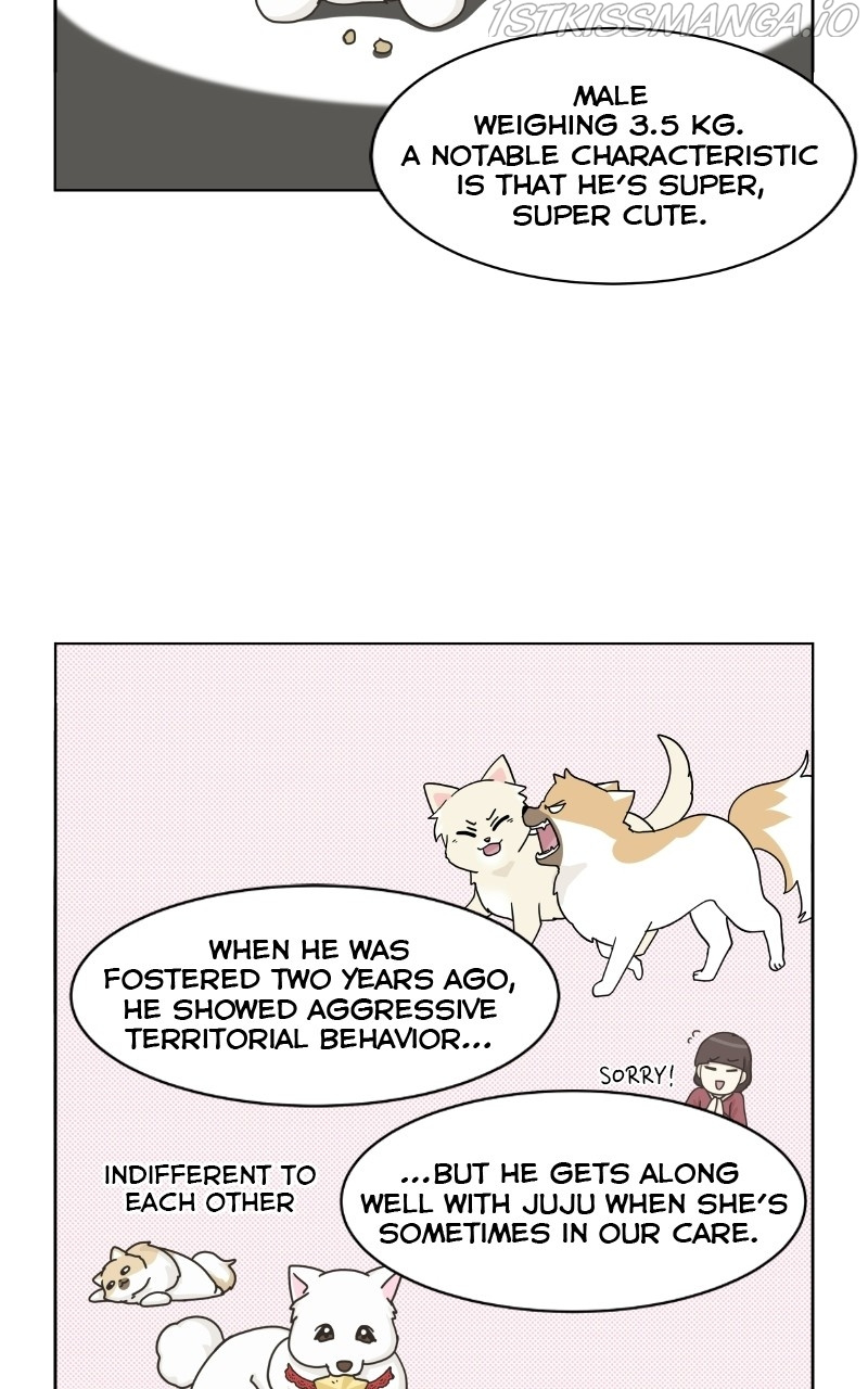 The Dog Diaries Chapter 79 #7
