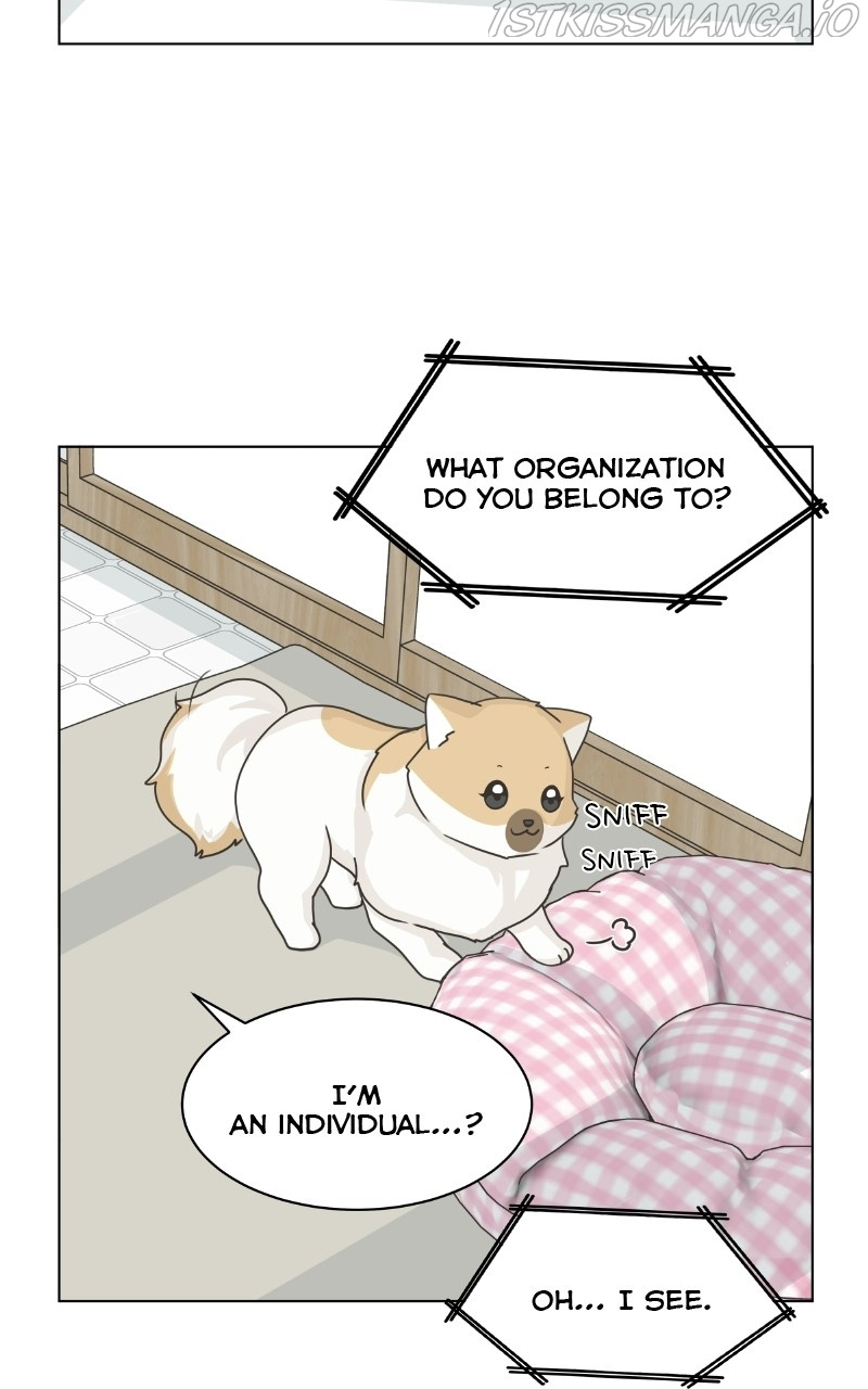 The Dog Diaries Chapter 79 #52