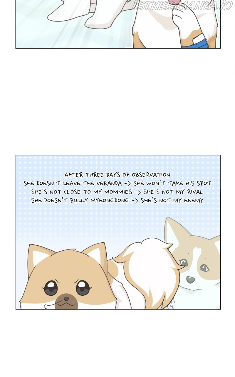 The Dog Diaries Chapter 82 #10