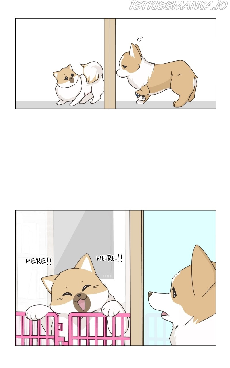 The Dog Diaries Chapter 82 #11