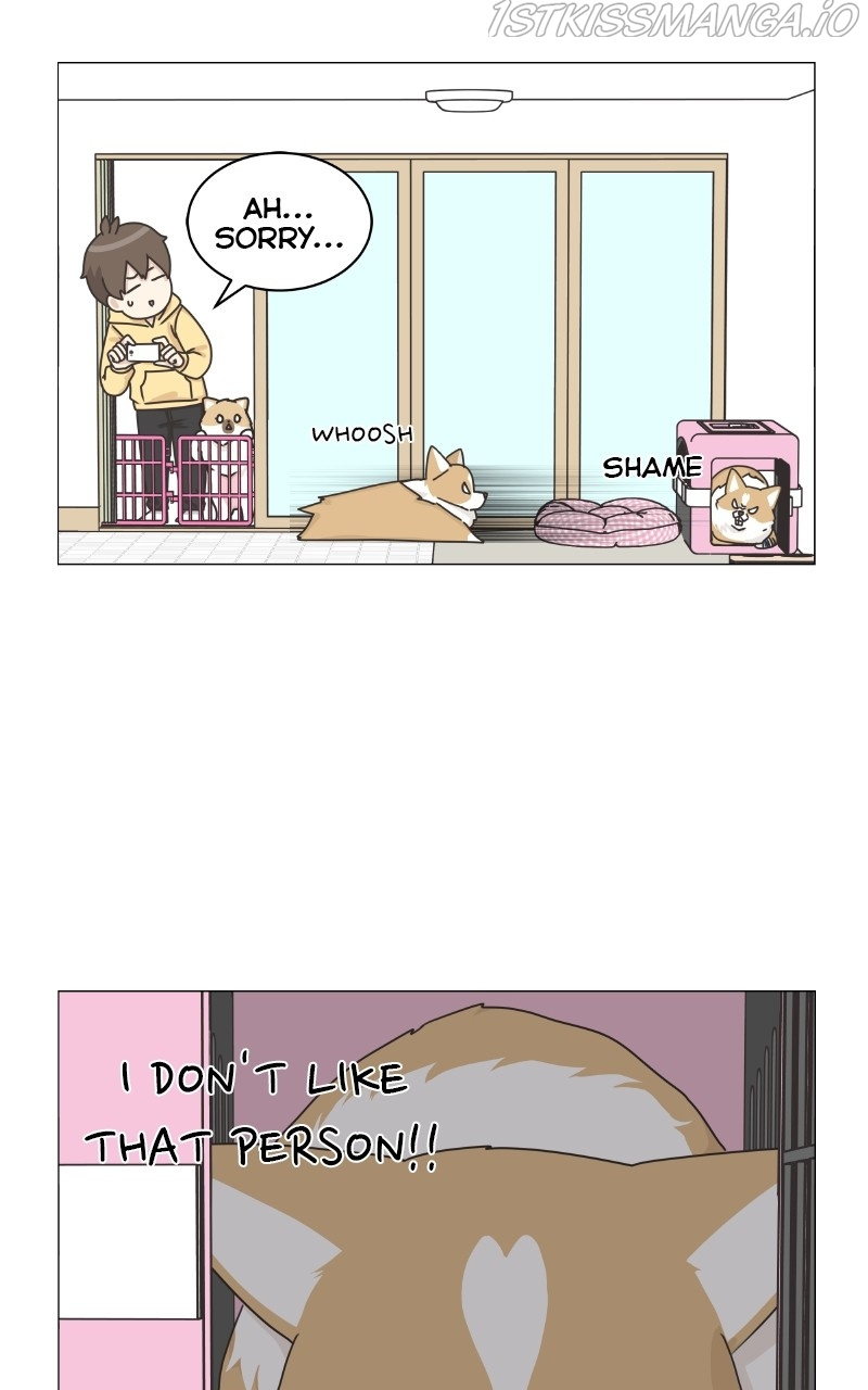 The Dog Diaries Chapter 82 #18