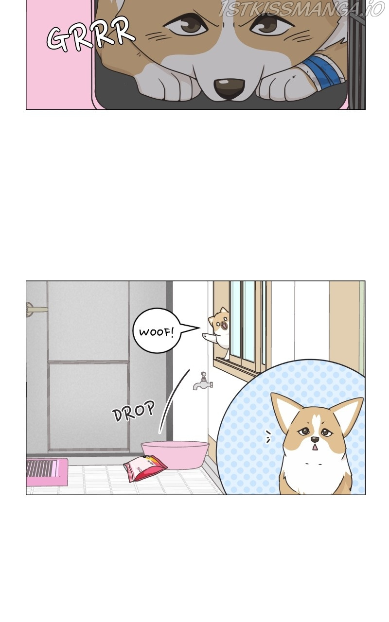 The Dog Diaries Chapter 82 #19