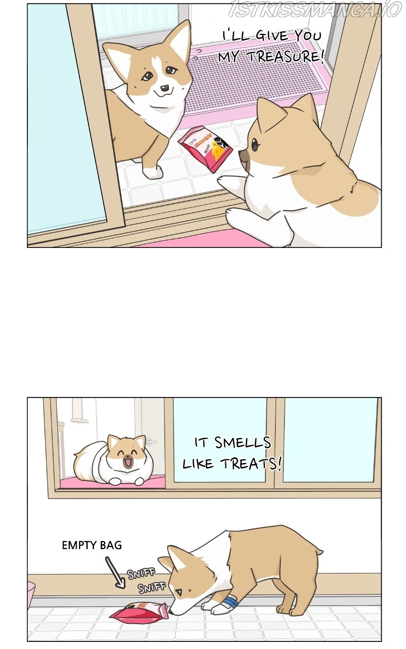 The Dog Diaries Chapter 82 #20