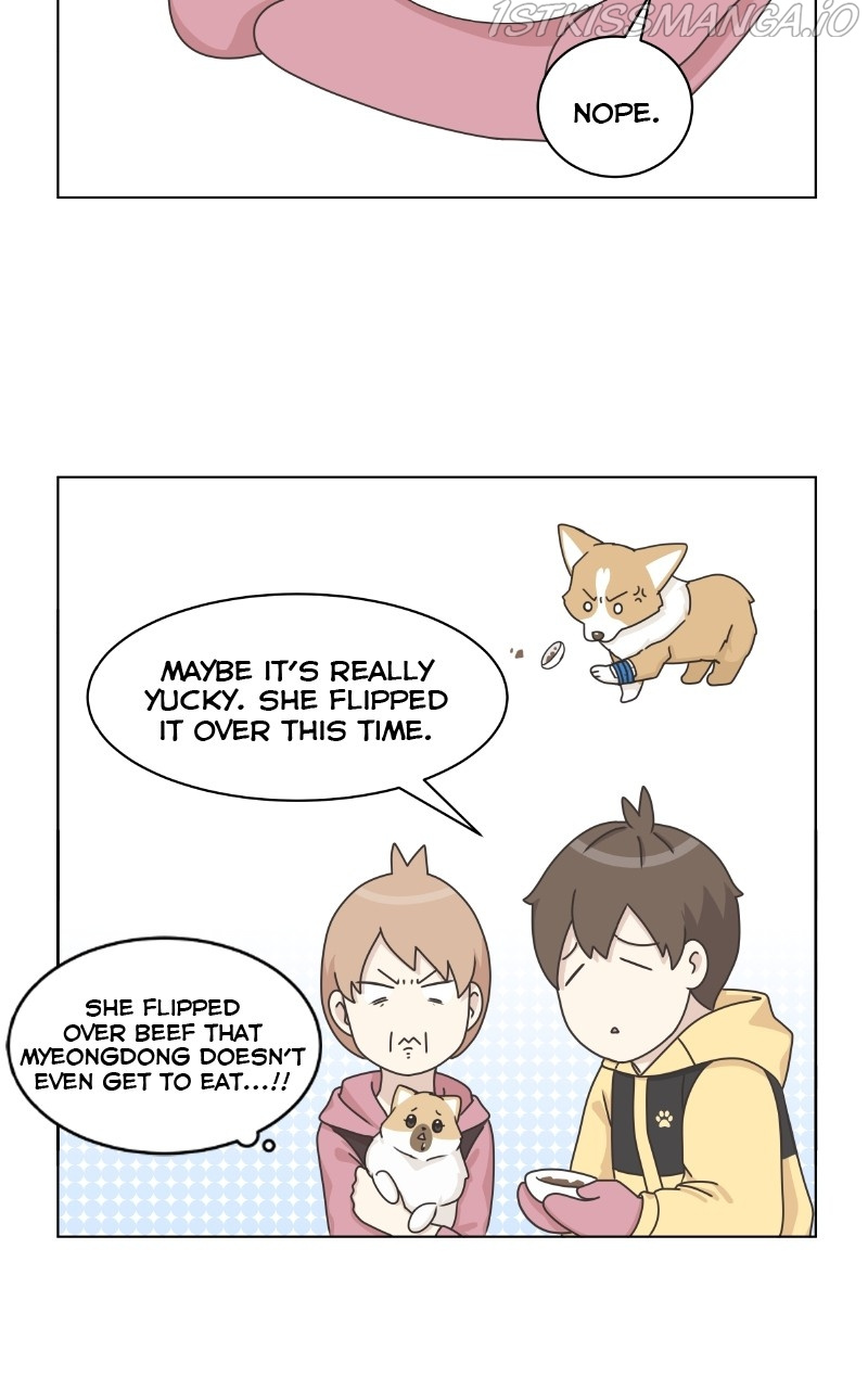 The Dog Diaries Chapter 82 #27