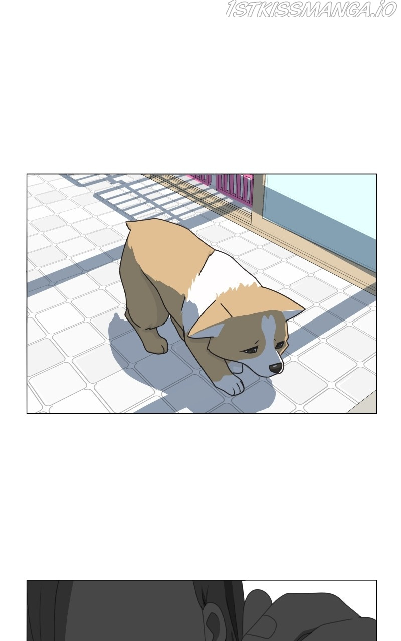 The Dog Diaries Chapter 82 #36