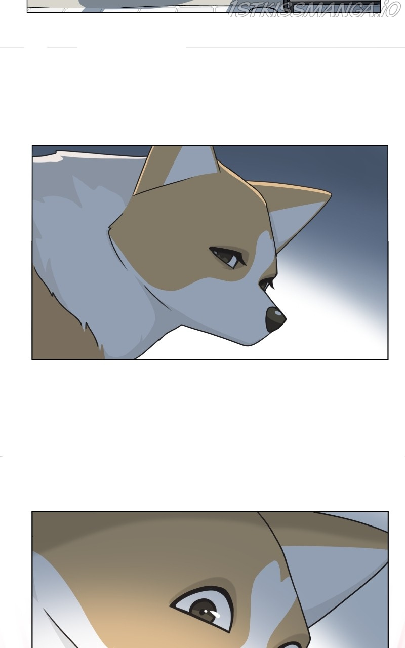 The Dog Diaries Chapter 82 #38