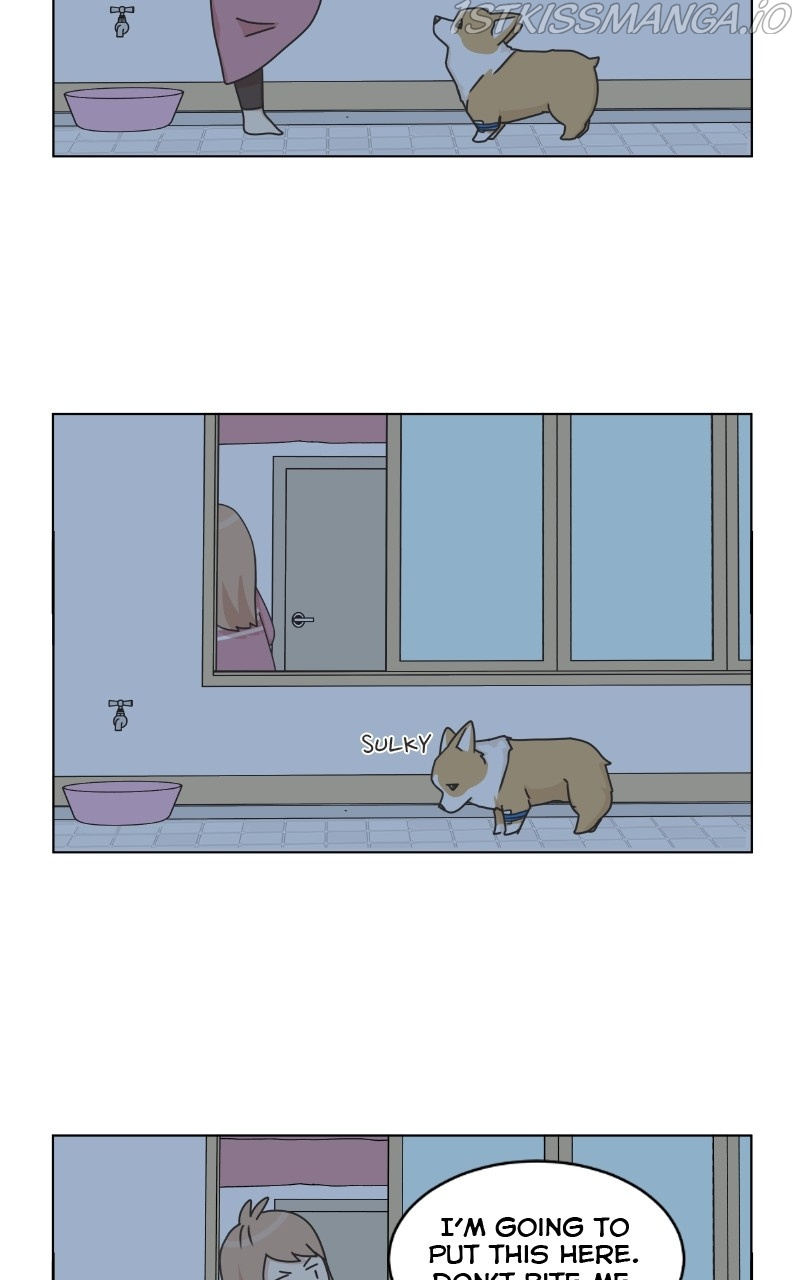 The Dog Diaries Chapter 82 #52