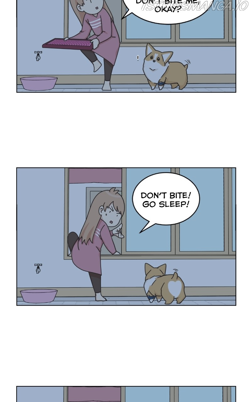 The Dog Diaries Chapter 82 #53