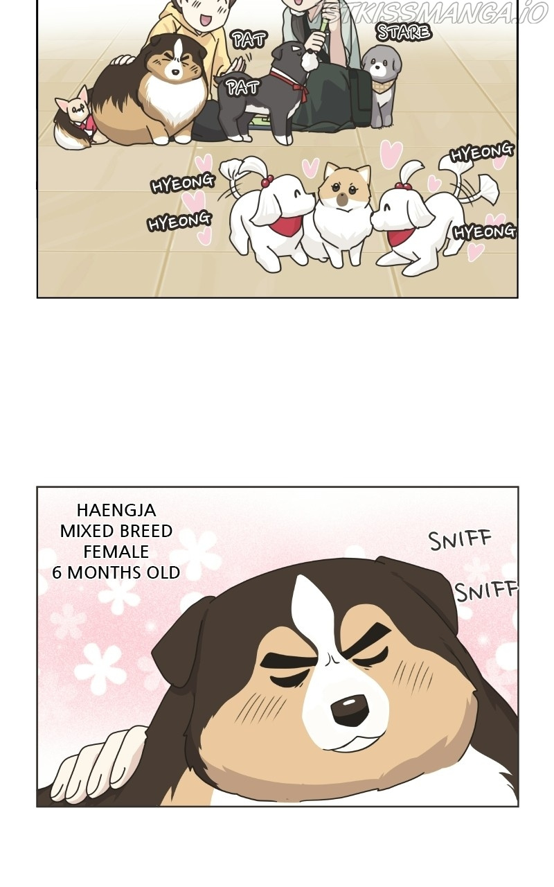 The Dog Diaries Chapter 78 #29