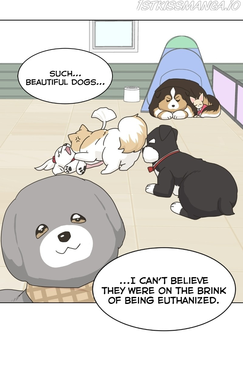 The Dog Diaries Chapter 78 #58