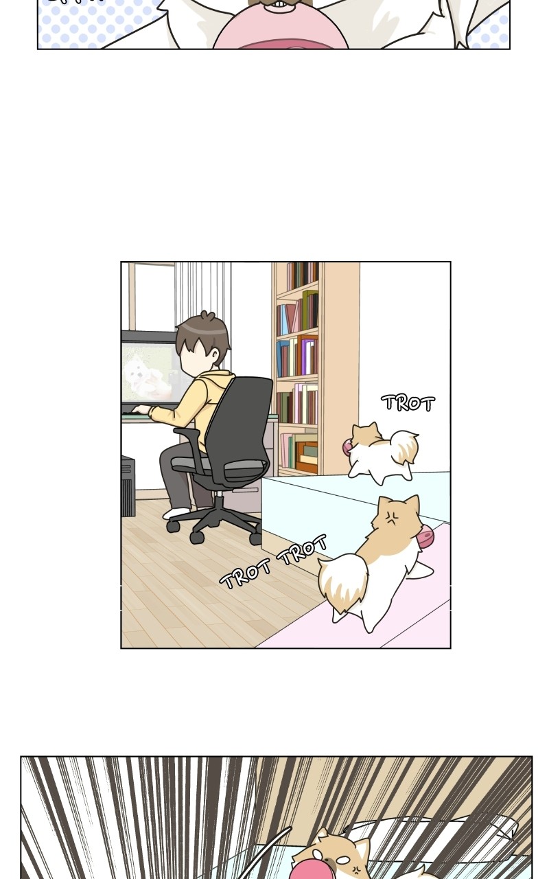The Dog Diaries Chapter 72 #30