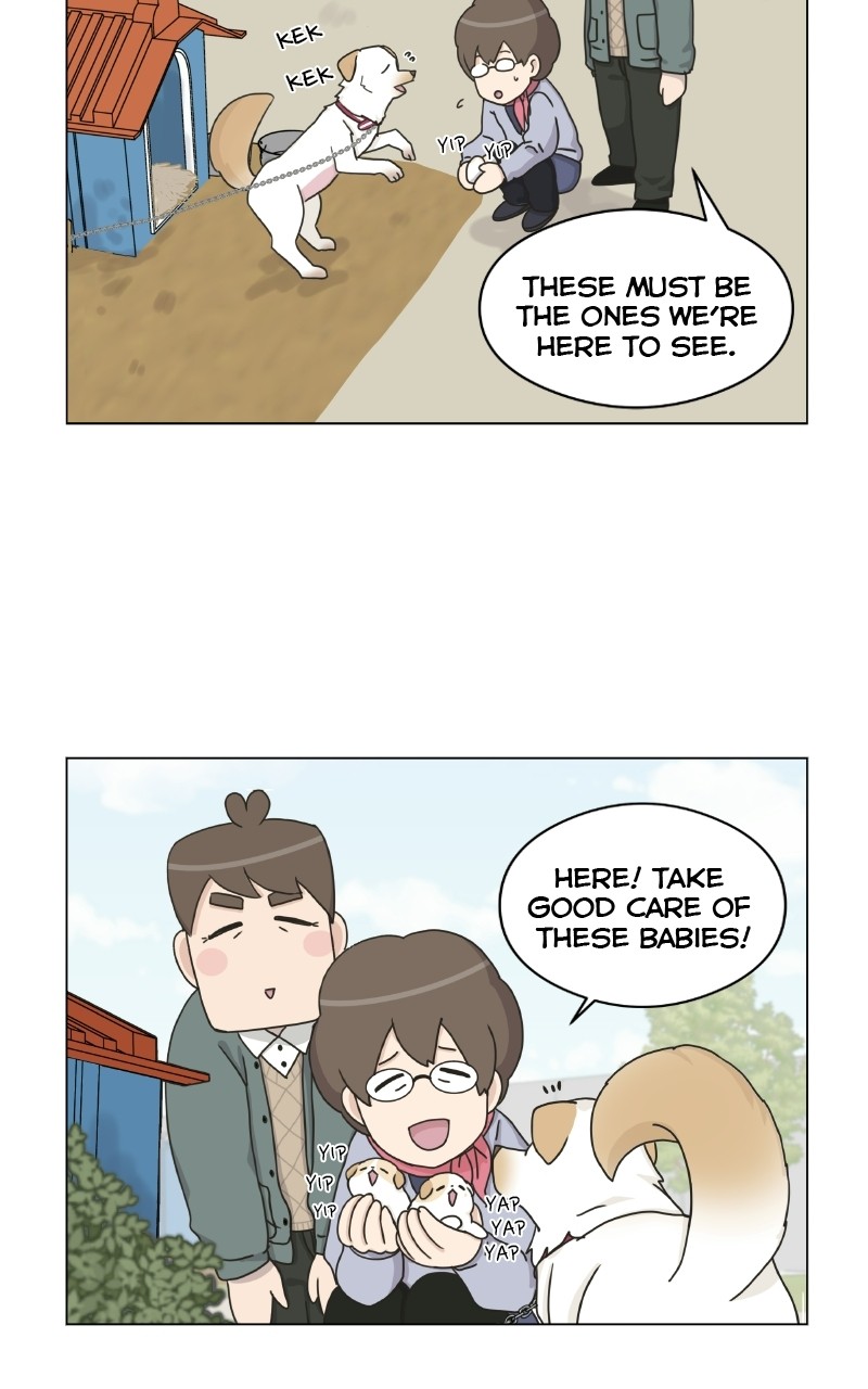 The Dog Diaries Chapter 72 #59