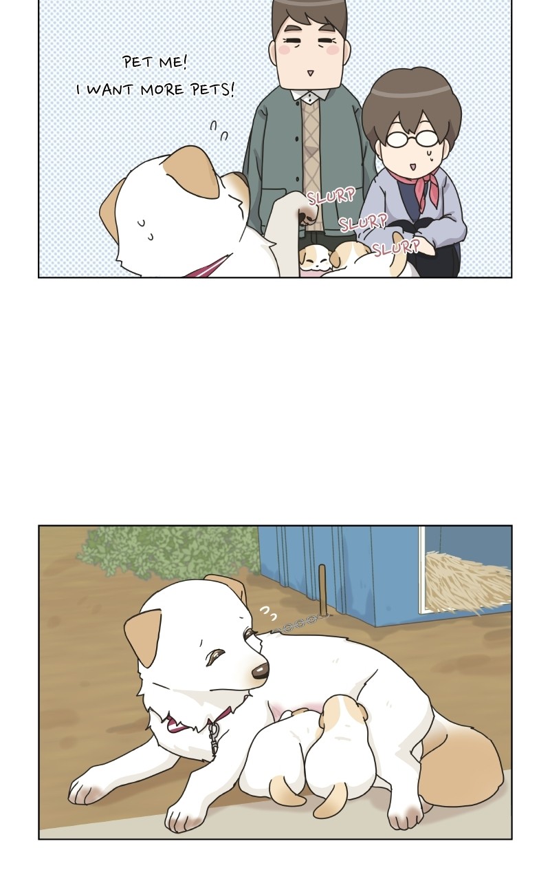 The Dog Diaries Chapter 72 #63